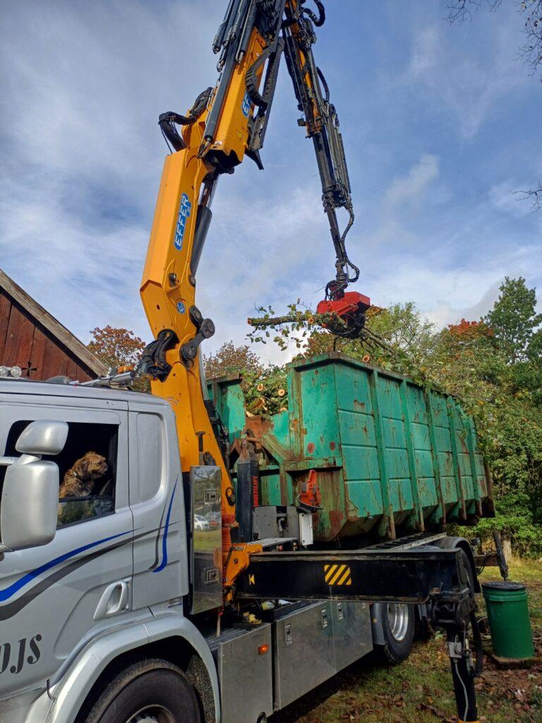 Trädfällning med kranbil i Hässleholm